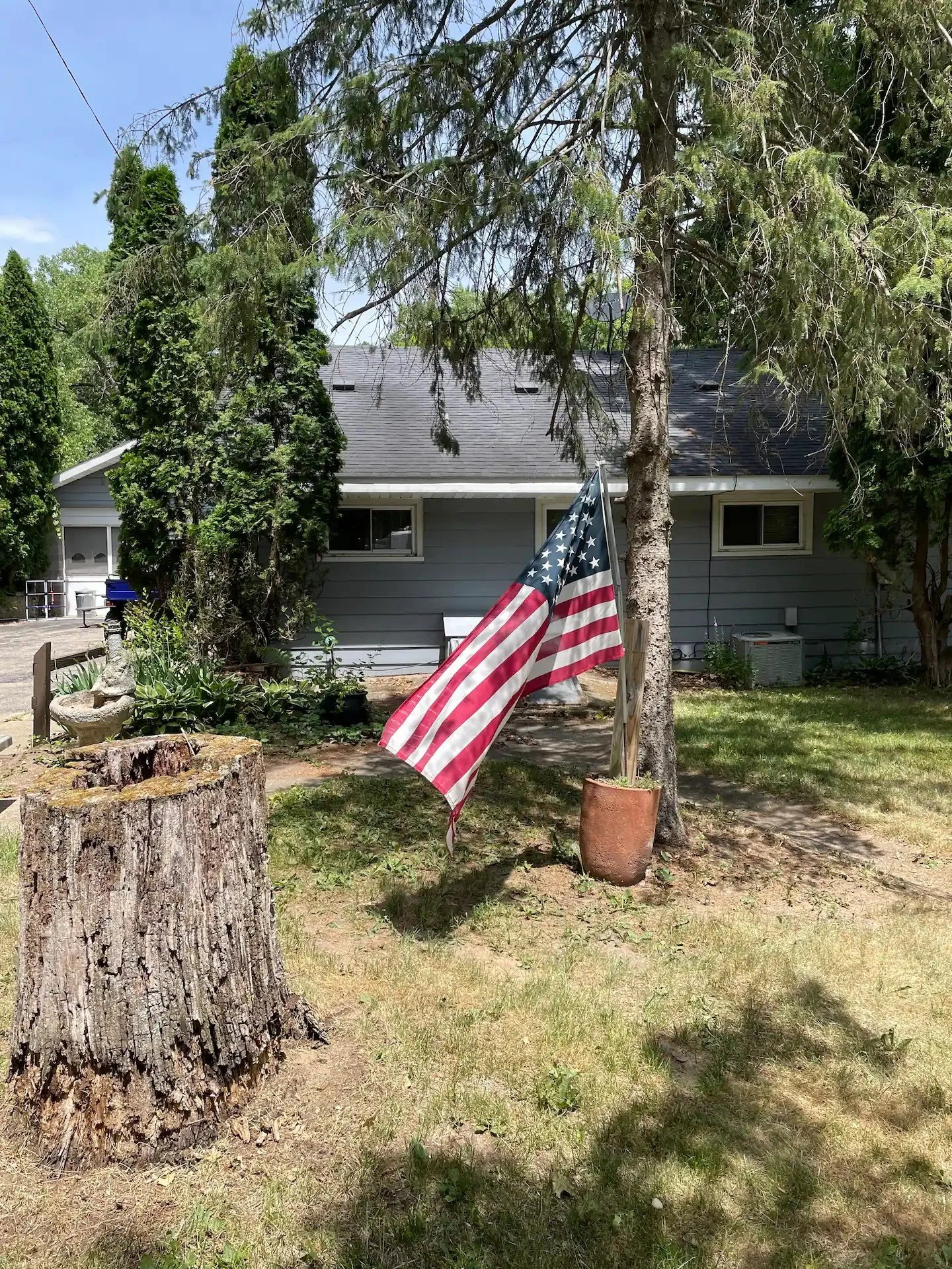 A backyard with a tree, a Canadian flag in a pot, a tree stump, and a house in the background.