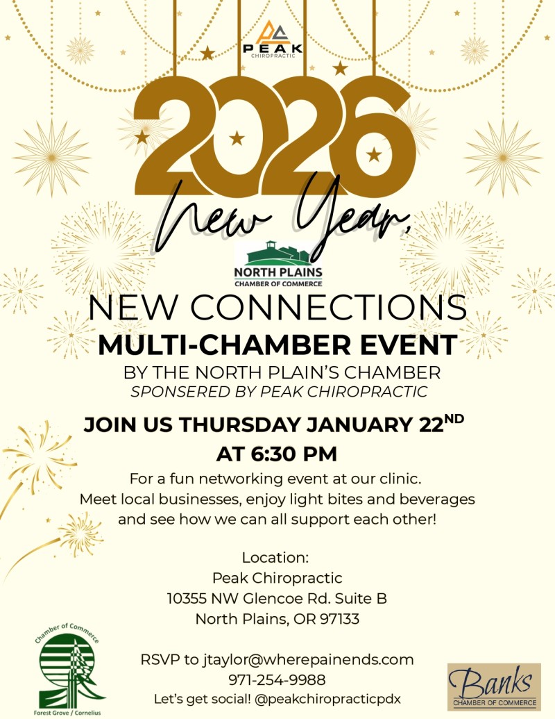 Multi Chamber Networking Event header image