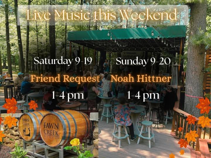 Live Music: Noah Hittner header image