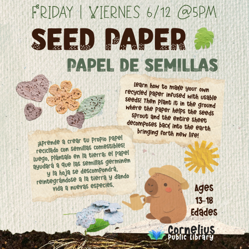 Seed Paper | Papel de semillas header image