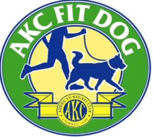 Jenn's Dogs FIT DOG walk header image