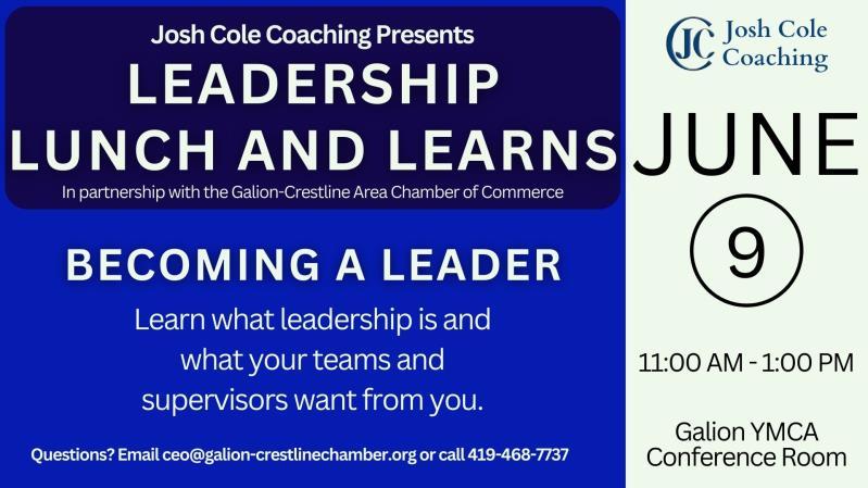 Leadership Lunch & Learns with Josh Cole Coaching header image
