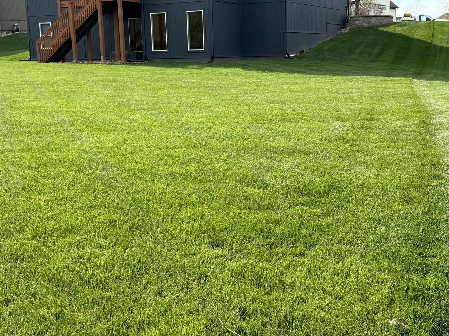 Green Seasons Lawn & Tree Service gallery image 5