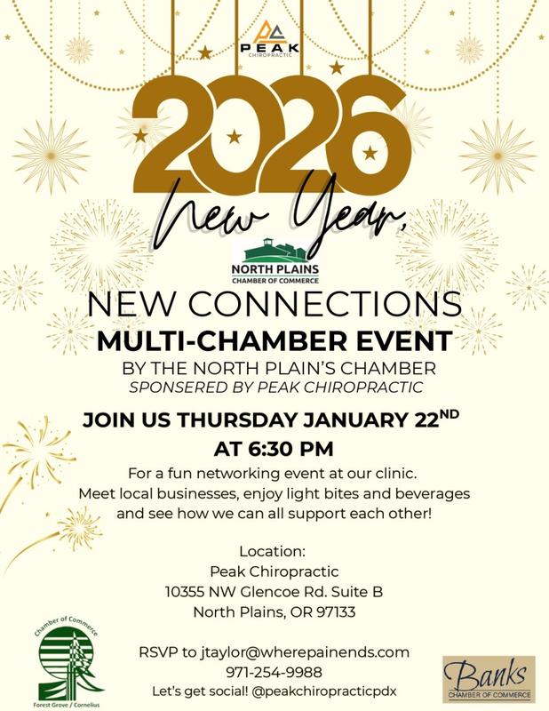Multi Chamber Networking Event header image