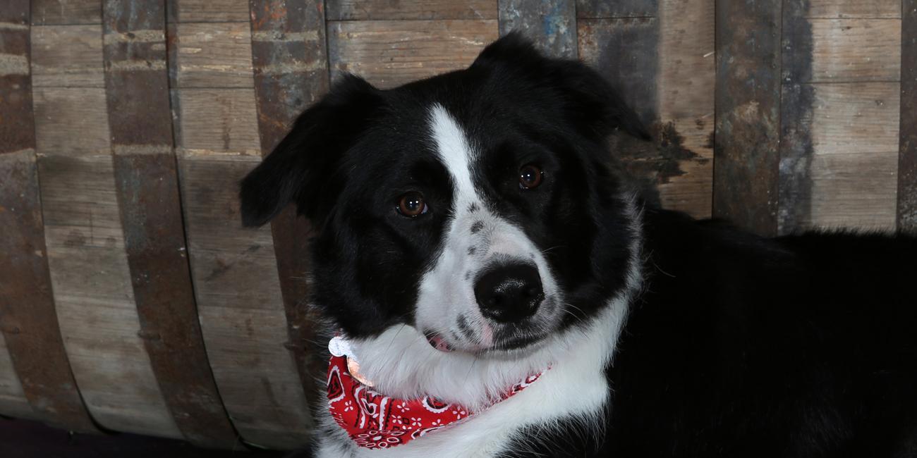 Myra's Portrait Studio gallery image 4