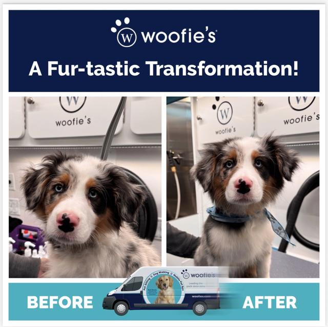 Woofie's of Fishers logo
