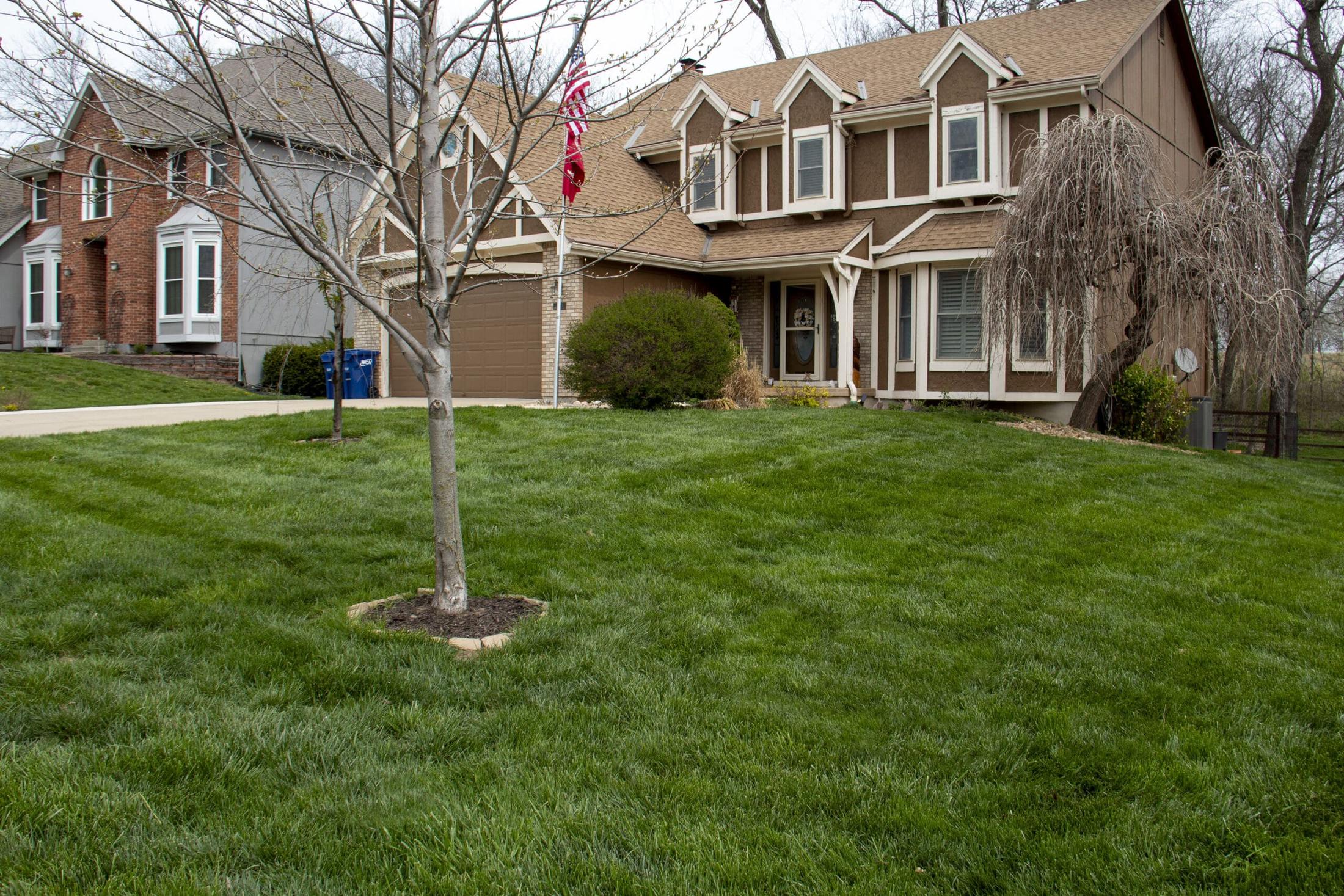 Green Seasons Lawn & Tree Service gallery image 7