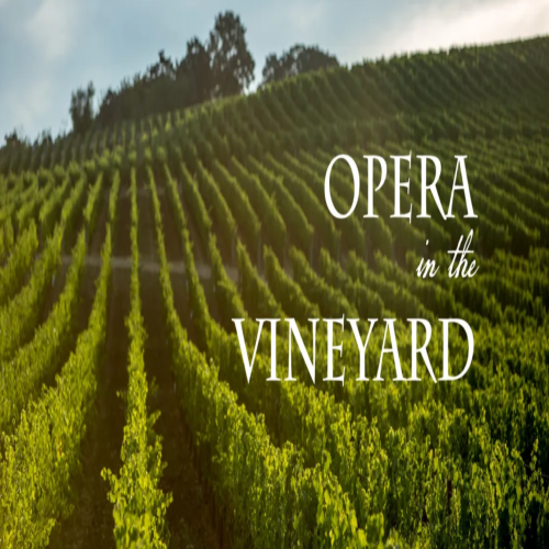 Opera in the Vineyard header image