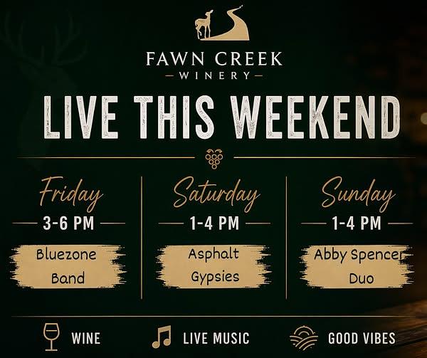Live Music: Abby Spencer Duo header image