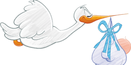 FERTILITY: A Natural Proven Approach header image