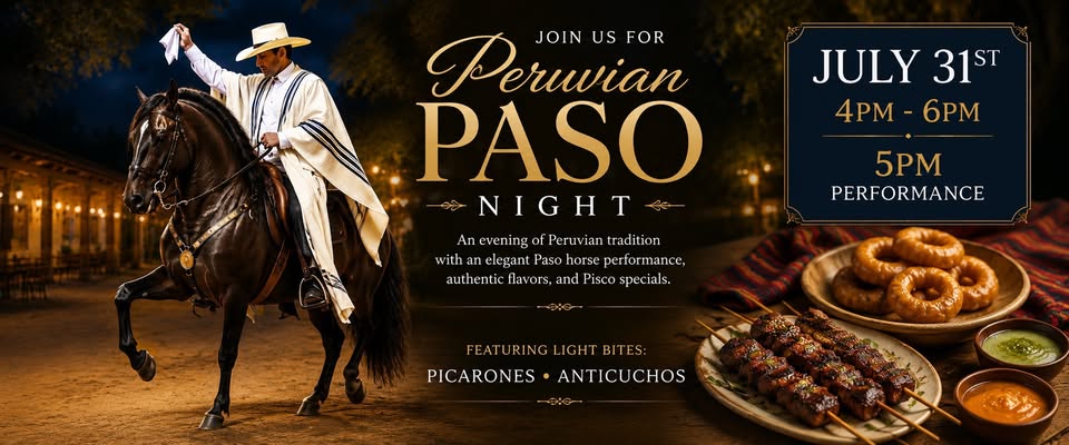 Peruvian Paso Night header image