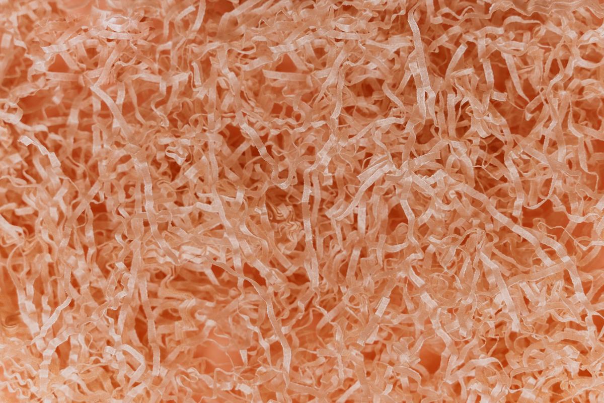 Free Shred Day header image