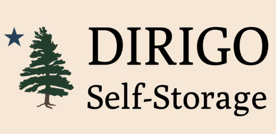 Dirigo Storage logo