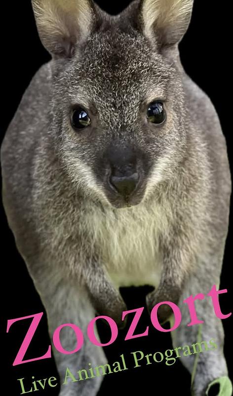 Zoozort in Adams header image