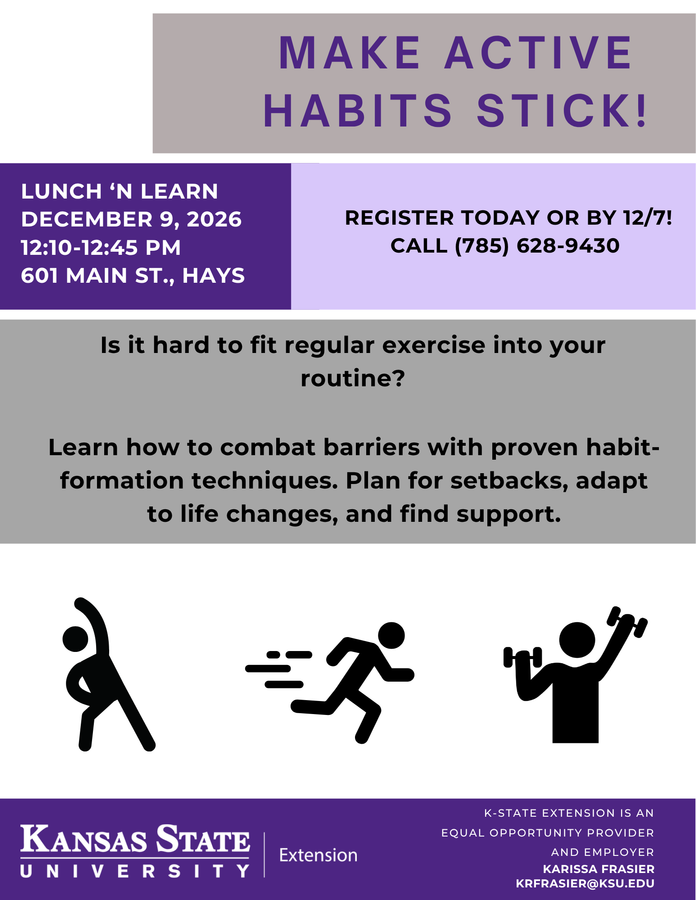 Wellness Challenge - Make Active Habits Stick (Lunch & Learn) gallery image 2