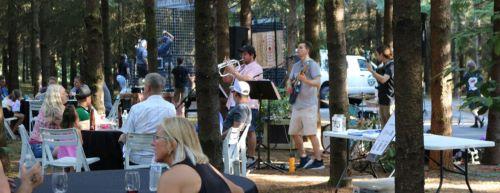 Into the Woods Summer Music Series header image