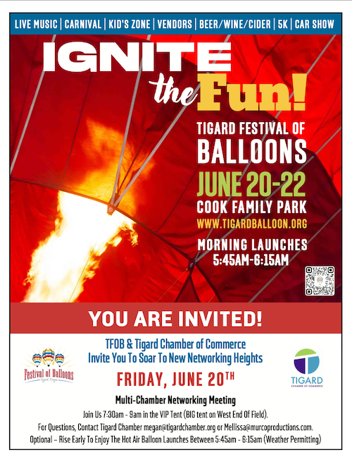 Festival of Balloons –Cook Family Park header image