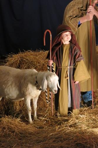 Living Nativity and Dinner header image
