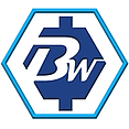 Bless Web Designs - Dallas logo