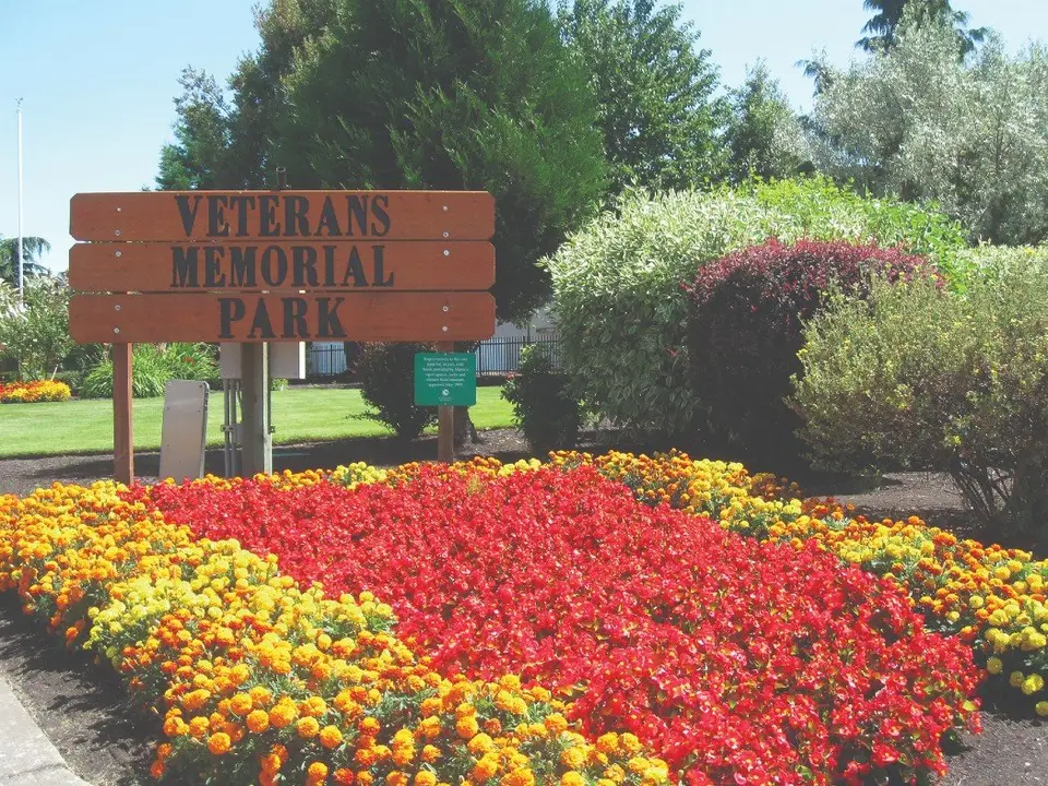 A rustic three-plank wooden sign reading Veterans Memorial Park, behind a large bed of red and yellow marigolds and salvia.