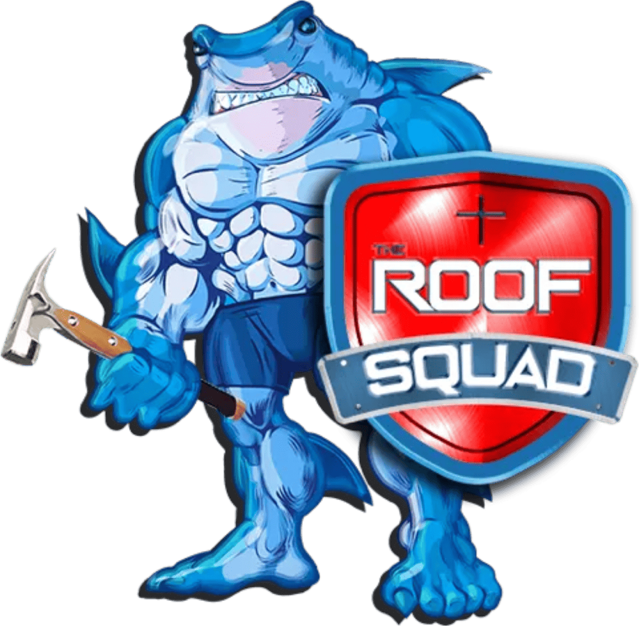 The Roof Squad gallery image 1