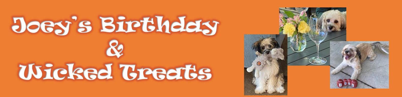 Joey’s Birthday, Wicked Treats & Bonus for Costumes! header image