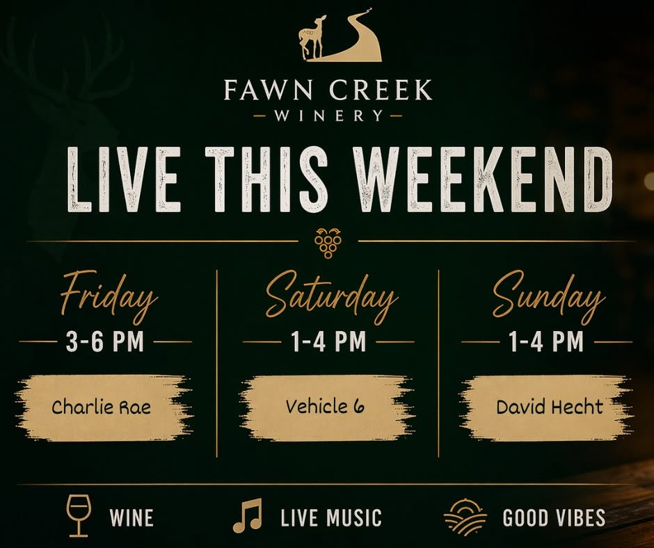 Live Music: David Hecht header image