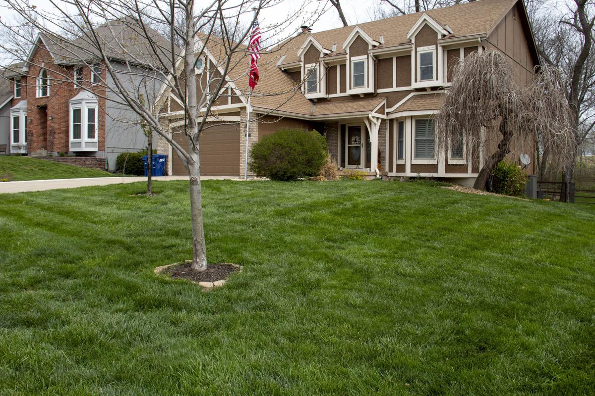 Green Seasons Lawn & Tree Service gallery image 7