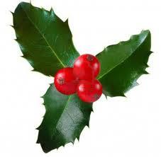 Holiday Open House at Shamrock Garden Florist header image