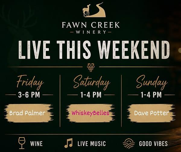 Live Music: Dave Potter header image