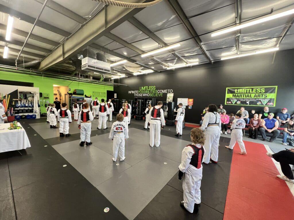 Limitless Martial Arts gallery image 1
