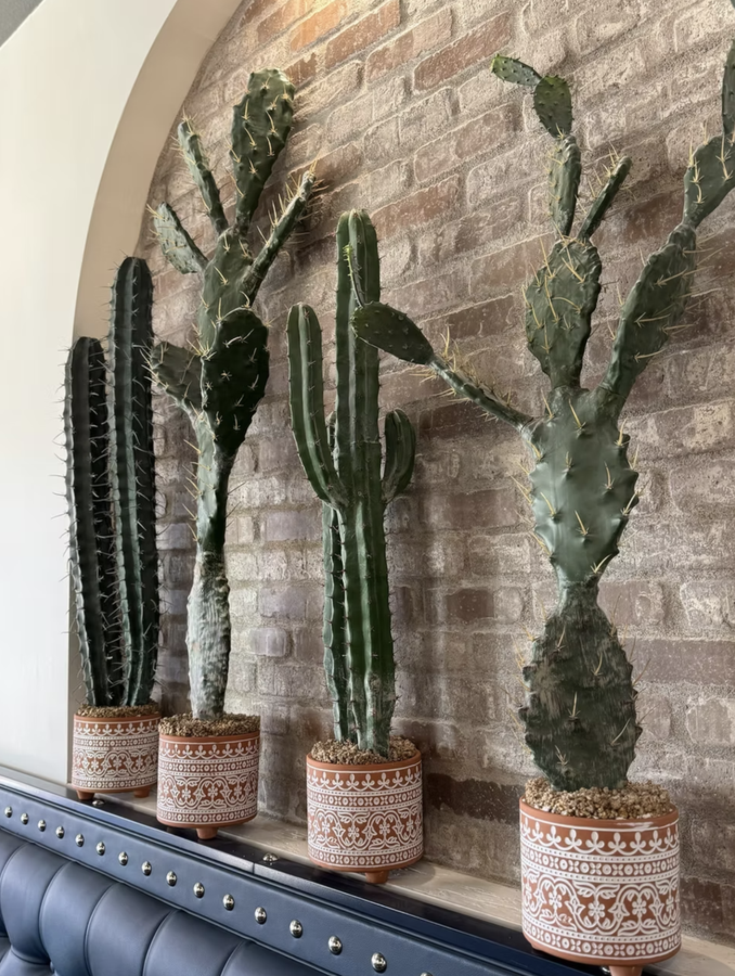 Casa Agave gallery image 2