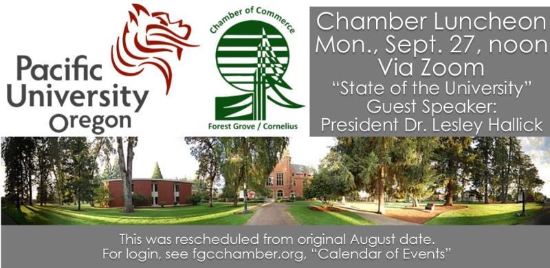 Chamber Virtual Luncheon header image