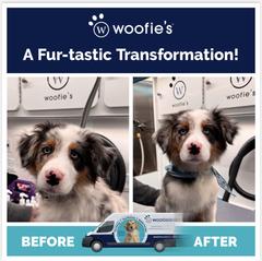 Woofie's of Fishers logo