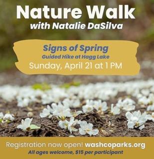 Nature Walk at Hagg Lake header image