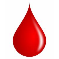 Anytime Fitness Blood Drive header image