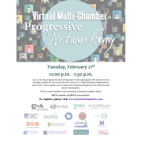 Virtual Multi-Chamber Progressive Networking header image