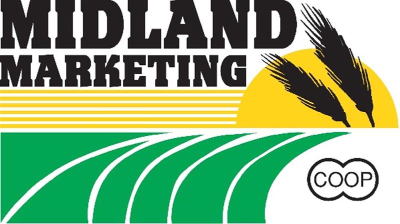 Custom Applicator - Plainville