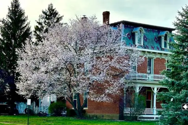Wyandot county landscaping