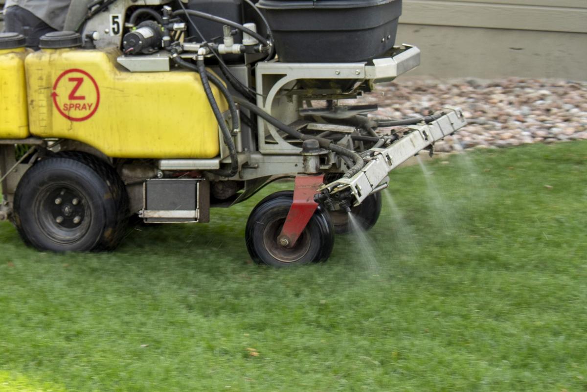 Green Seasons Lawn & Tree Service gallery image 6