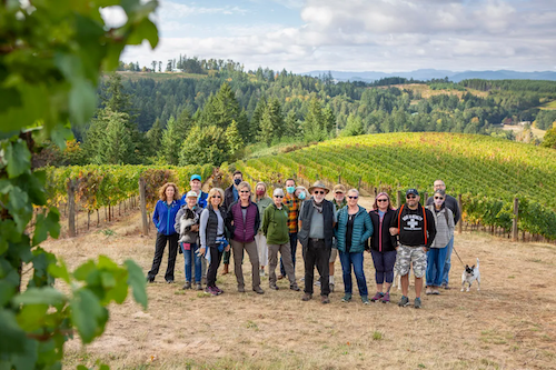 Vineyard Hike header image