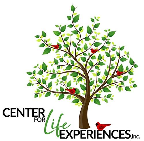 RC - Center for Life Experience header image