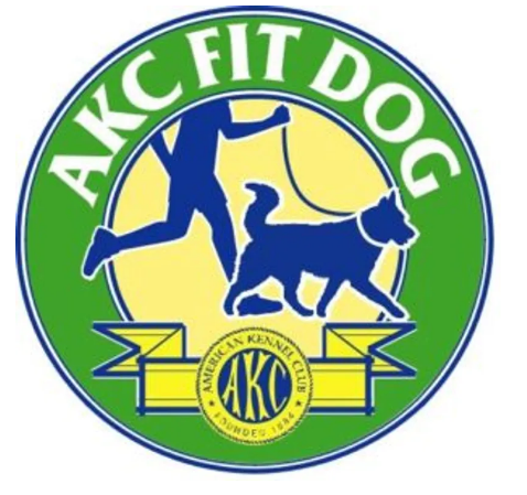 Jenn's Dogs Fit Dog walk header image