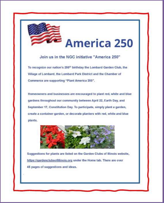 Plant America 250 header image