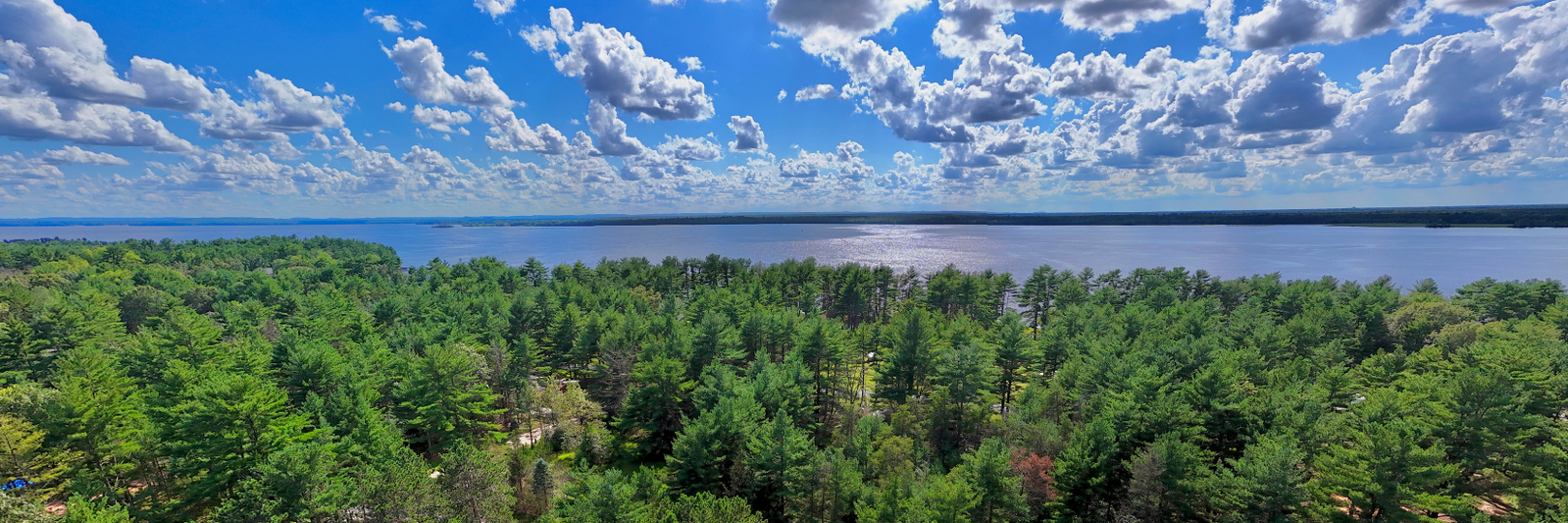 Pavelec Realty header image