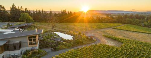 Sunset Social at Domaine Willamette header image