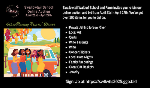 Swallowtail’s school annual auction. header image